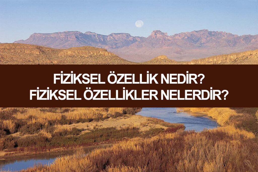 Fiziksel Özellik